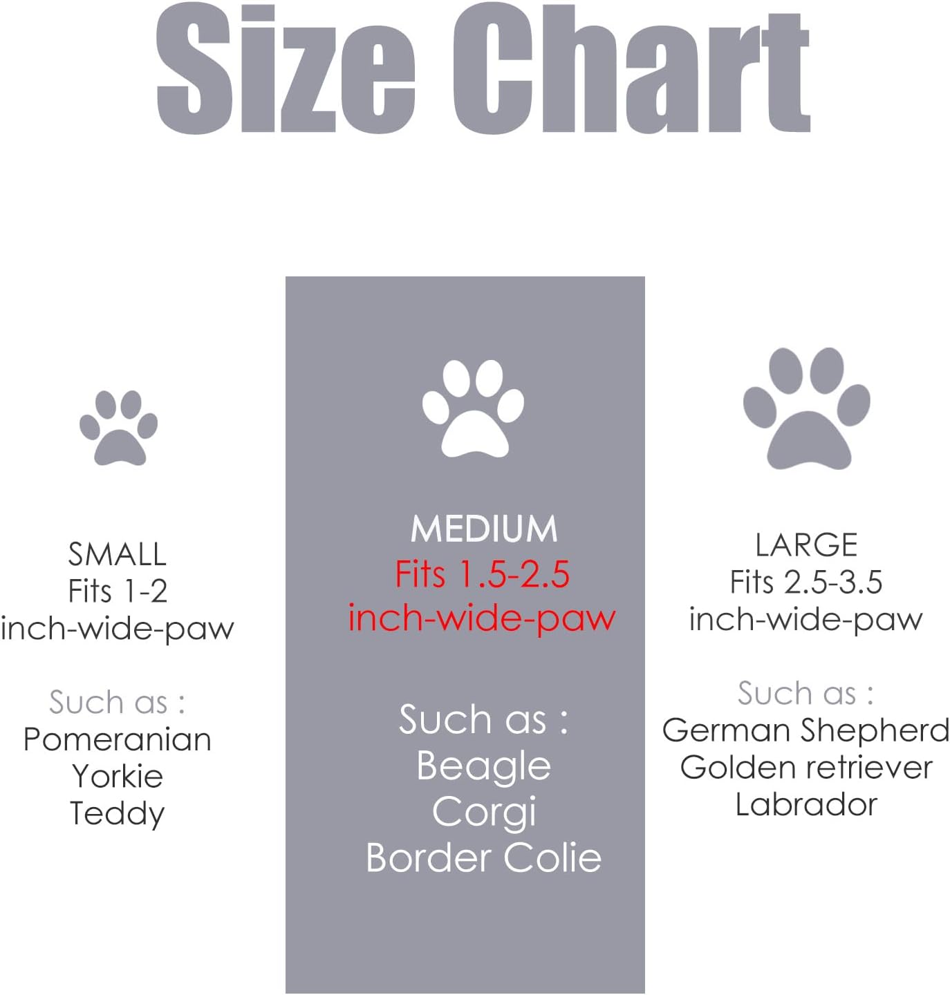 CleanPaws Dog Paw Cleaner